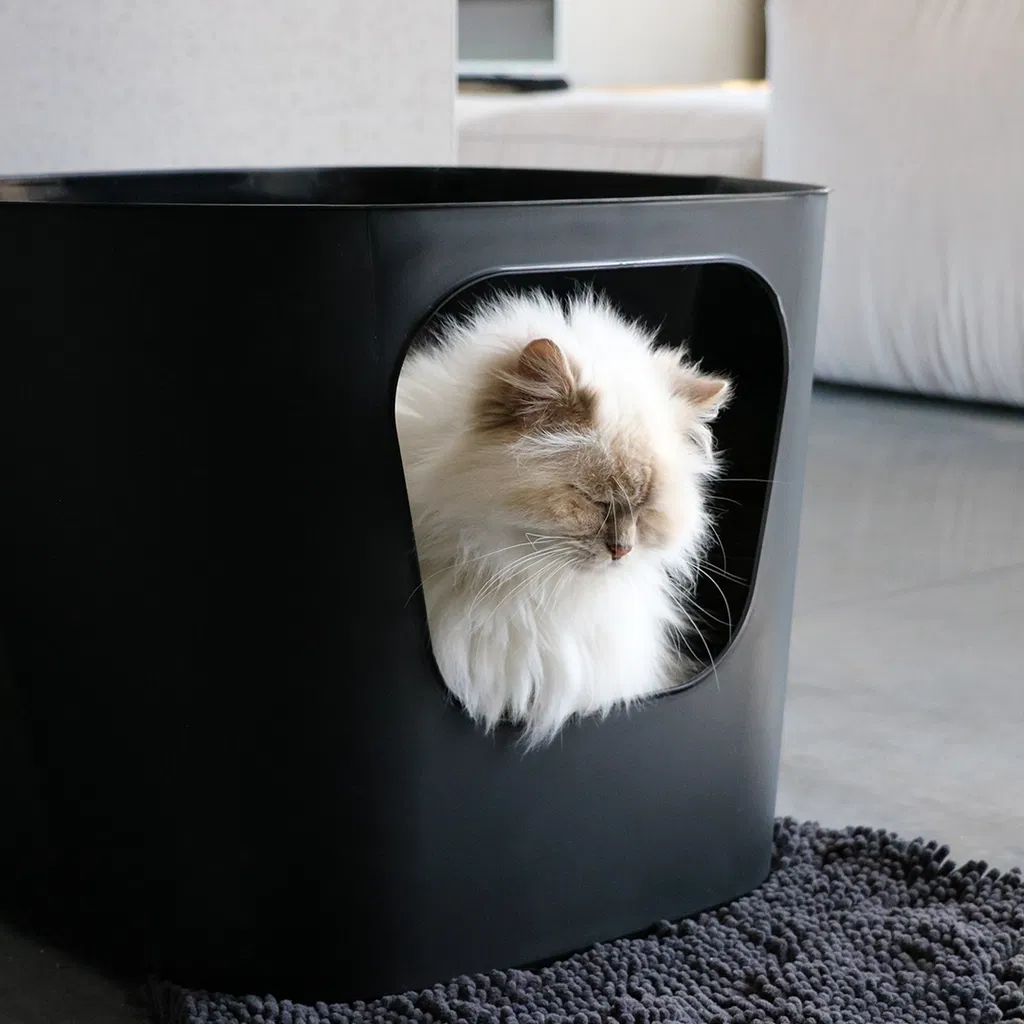 D&D CAT Kattetoilet DEAN - Stilrent - rummeligt og miljøvenligt